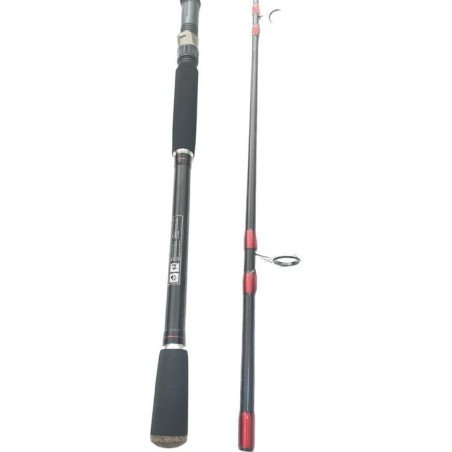 AKIRO canne spining AKIRO spin master pro 3.30M 2sec action 25-75g