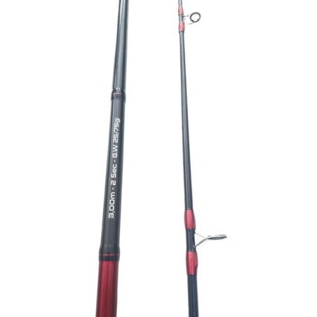 AKIRO canne spining AKIRO spin master pro 3.30M 2sec action 25-75g