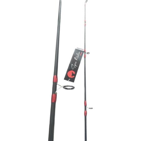 AKIRO canne spining AKIRO spin master pro 3.30M 2sec action 25-75g