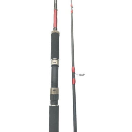 AKIRO CANNE SPINING AKIRO SPIN MASTER PRO 3.00M 2SEC ACTION 25-75G