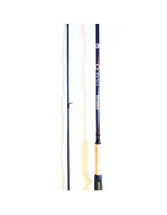 canne spining osaka spinning 3.00M 2sec action 15-52g fuji 2