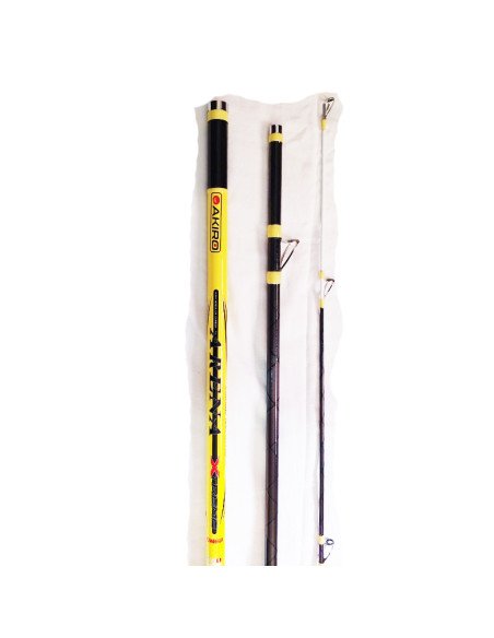 copy of Canne a pèche surfcasting akiro arena 450 100-300