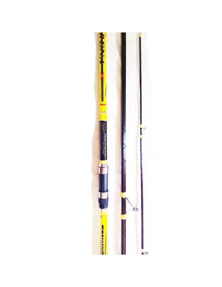 copy of Canne a pèche surfcasting akiro arena 450 100-300