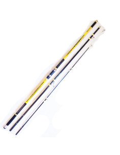 Canne a pèche surfcasting akiro arena 600 Action 300g