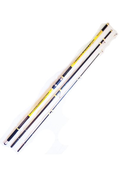 copy of Canne a pèche surfcasting akiro arena 450 100-300