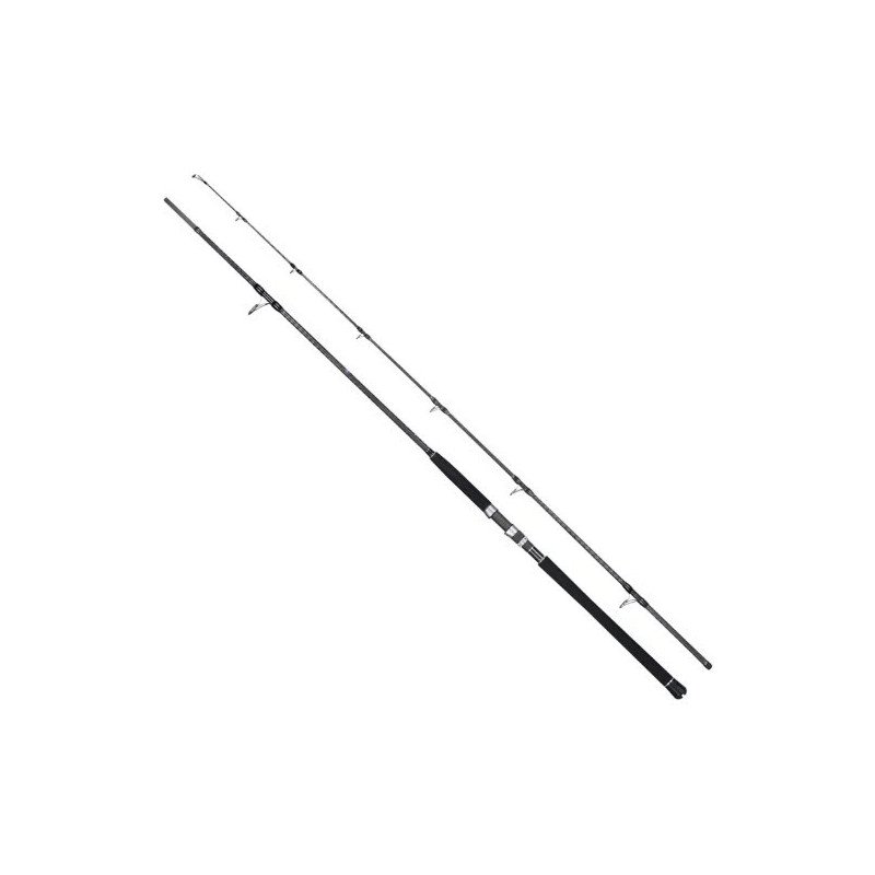 Lurekiller shorejigging canne spinning 40-100g 3M